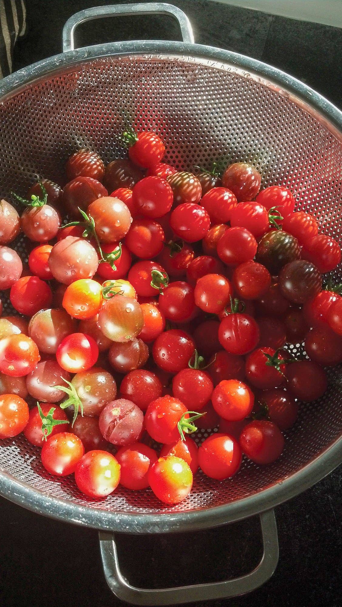 5QT Precision Pierced Colander