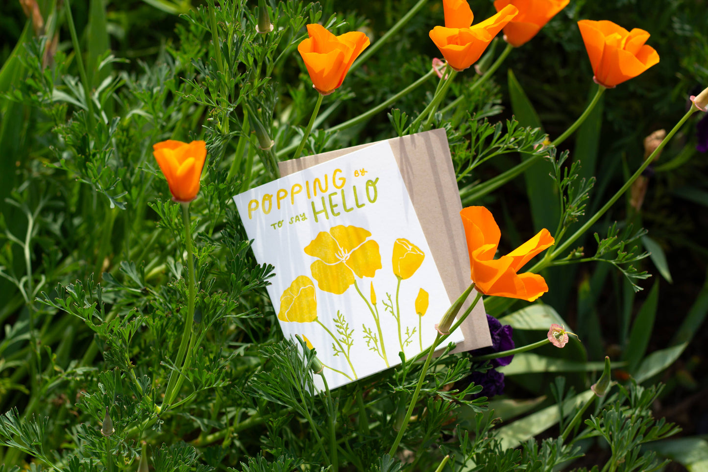 Finch and Flourish, "Popping By To Say Hello" Card