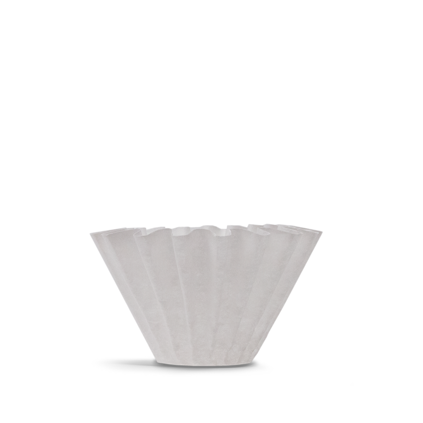 Fellow, Stagg Paper Filters