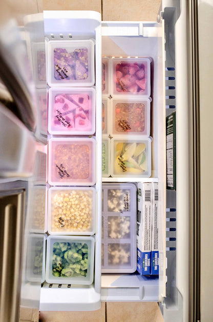 W&P Freezer Cube Storage Containers
