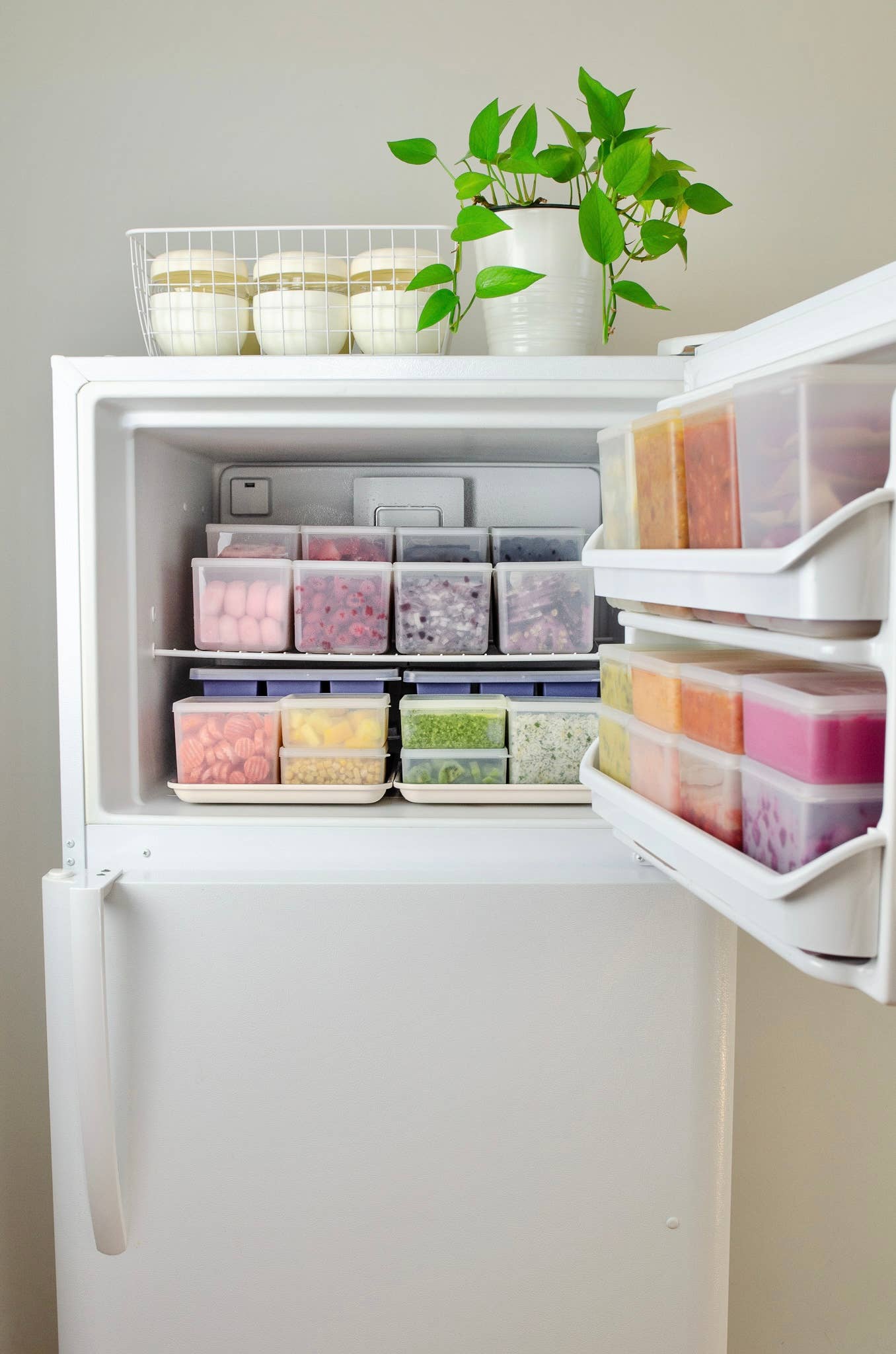 W&P Freezer Cube Storage Containers