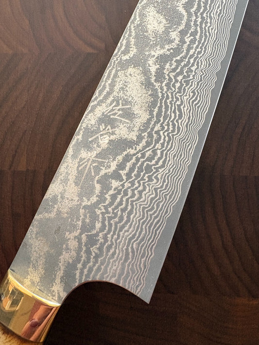 Takeshi Saji - VG10 Black Damascus, Gyuto 210 (HA-4608)