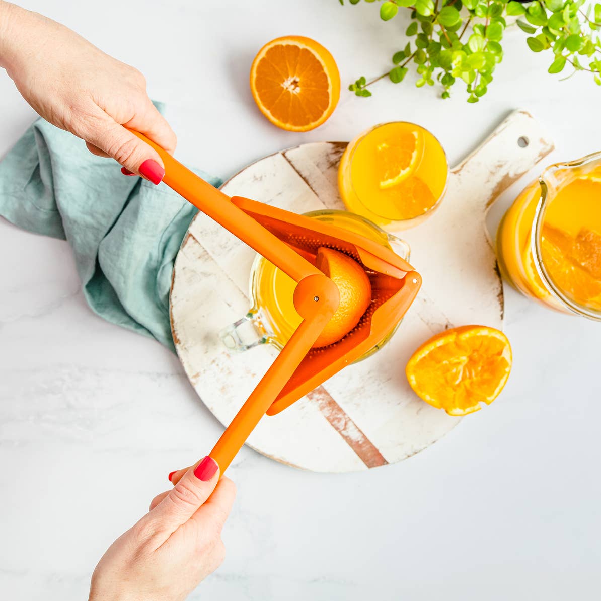 Fluicer Easy Squeeze Space-Saving Juicer