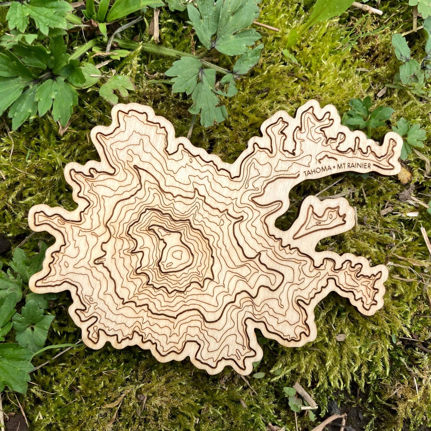 SML - Single Mt Rainier Topography Coaster