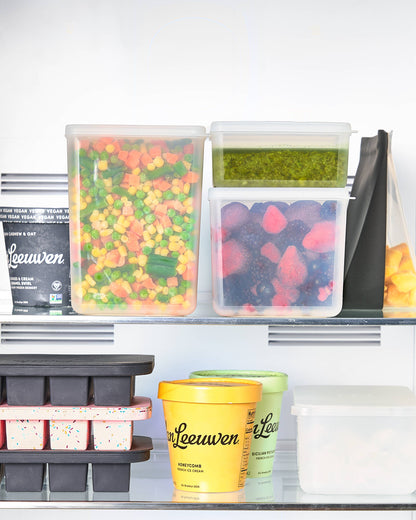 W&P Freezer Cube Storage Containers