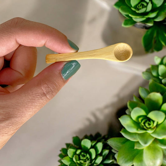 Hand holding a small wooden spoon with green succulents in the background