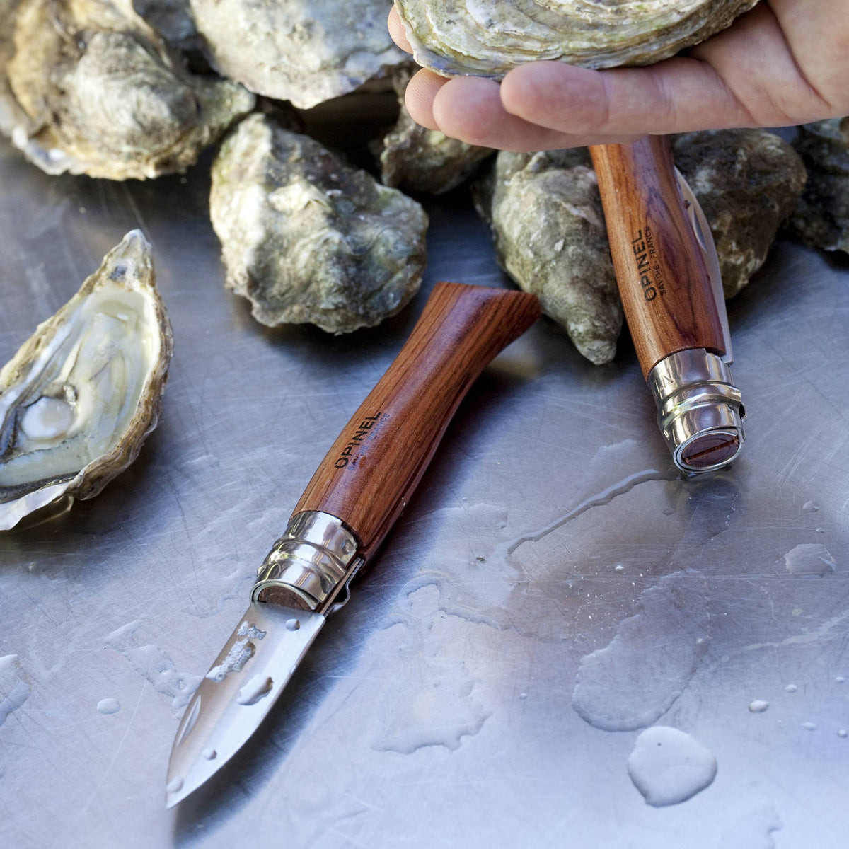 Two oyster kniveswith wooden handles on a metal surface with oysters.