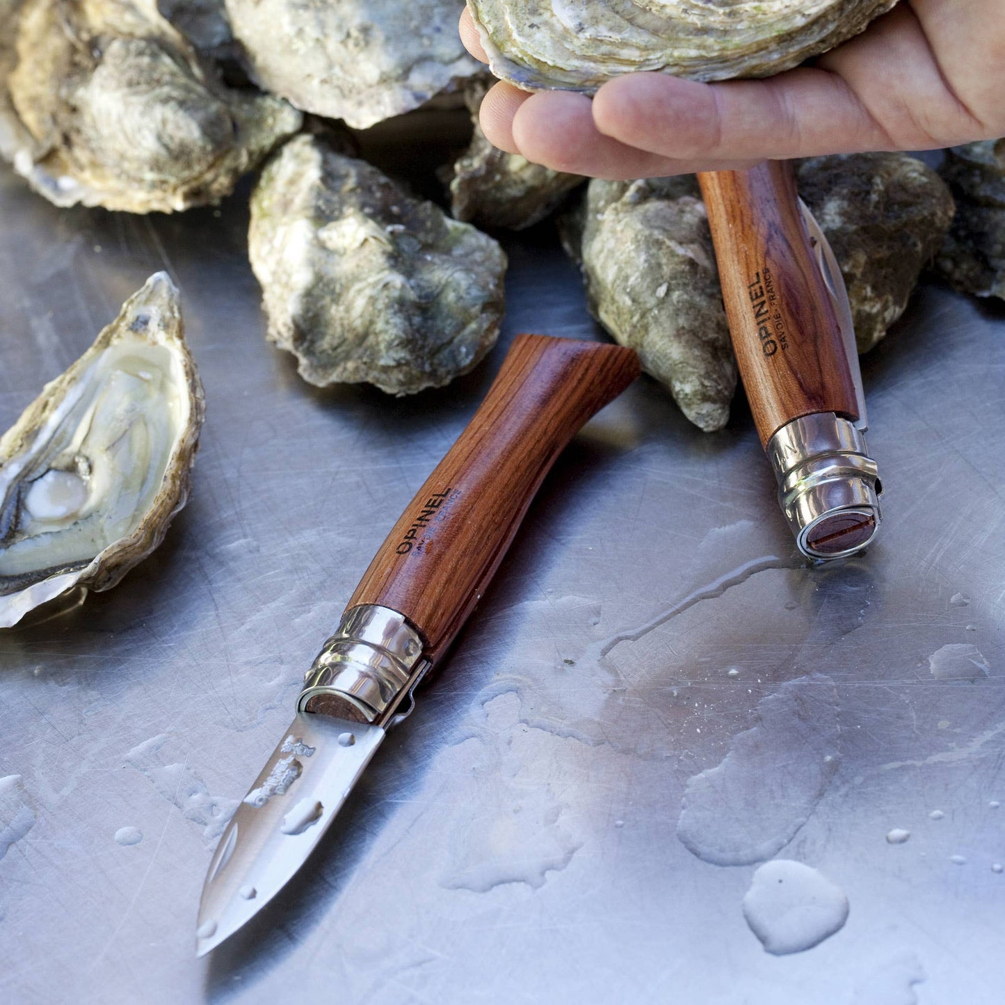 Opinel - N°9 Oyster Knife with Padouk Handle